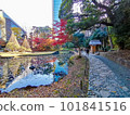 Stone-paved road and beautiful pond with Yukitsuri 101841516
