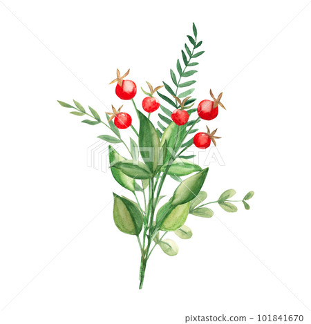 Watercolor summer bouquet of abstract green branches and red berries. Botanical hand drawn illustration. Can be used for greeting cards, invitations, floral design. Watercolor summer bouquet of abstract green branches and red berries. Botanical hand drawn illustration. Can be used for greeting cards, invitations, floral design. 101841670