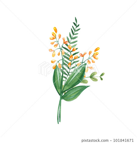Watercolor summer bouquet of green branches and wildflowers. Botanical hand drawn illustration. Can be used for greeting cards, invitations, floral design. 101841671