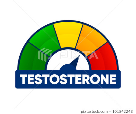 Meter of testosterone. Hormone level measuring scale. Molecular chemical formula of sex hormone. Male sex hormone. Vector illustration. Meter of testosterone. Hormone level measuring scale. Molecular chemical formula of sex hormone. Male sex hormone. Vector illustration. 101842248