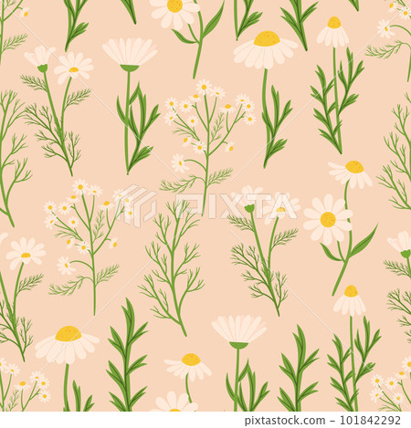 Seamless Pattern Featuring Chamomile Flowers. Background With Delicate Design Of Repeating Floral Ornament For Textiles Seamless Pattern Featuring Chamomile Flowers. Background With Delicate Design Of Repeating Floral Ornament For Textiles 101842292