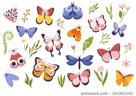 Set Of Colorful Butterflies and Moths, Each Unique In Size, Shape, And Color, Representing The Beauty And Diversity Set Of Colorful Butterflies and Moths, Each Unique In Size, Shape, And Color, Representing The Beauty And Diversity 101842293