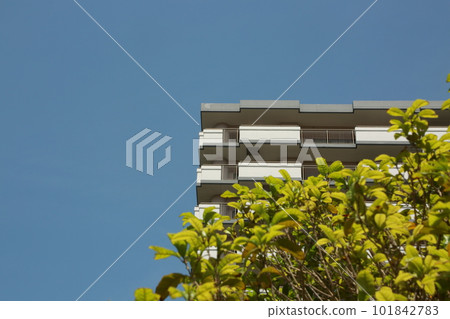 我沿著鶴見川散步 我沿著鶴見川散步 101842783