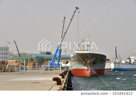 Photographing the scenery of a cargo ship loading wood at the central wharf of Hakodate Port, Hakodate City, Hokkaido in spring 101842822