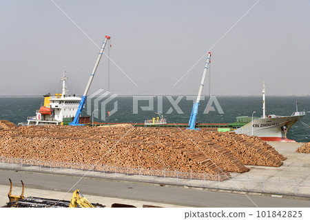 Photographing the scenery of a cargo ship loading wood at the central wharf of Hakodate Port, Hakodate City, Hokkaido in spring Photographing the scenery of a cargo ship loading wood at the central wharf of Hakodate Port, Hakodate City, Hokkaido in spring 101842825