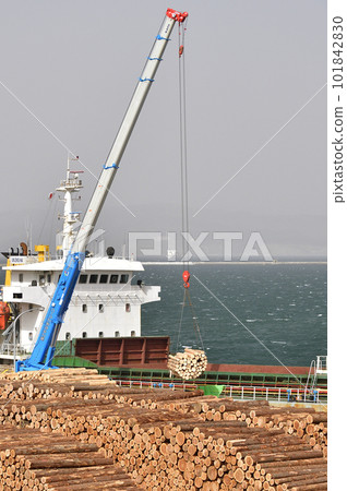 Photographing the scenery of a cargo ship loading wood at the central wharf of Hakodate Port, Hakodate City, Hokkaido in spring 101842830