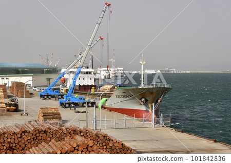 Photographing the scenery of a cargo ship loading wood at the central wharf of Hakodate Port, Hakodate City, Hokkaido in spring 101842836