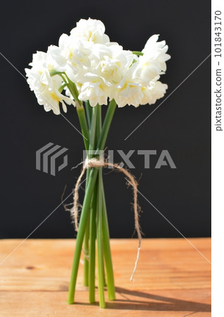 桌上的一束白色簇絨水仙花 101843170