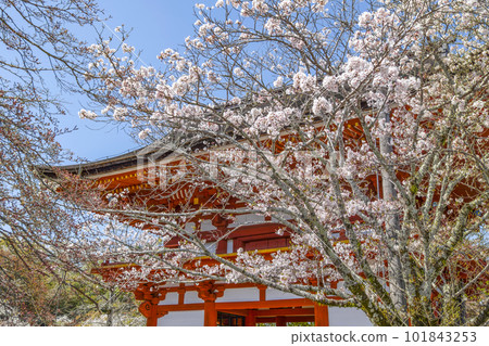 瀧山寺三門(岡崎市) 瀧山寺三門(岡崎市) 101843253