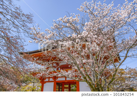 Sanmon Gate of Takizanji Temple (Okazaki City) Sanmon Gate of Takizanji Temple (Okazaki City) 101843254