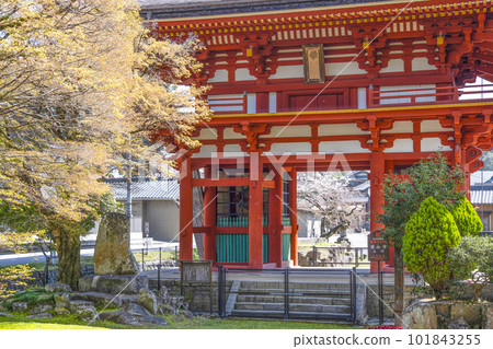 瀧山寺三門(岡崎市) 瀧山寺三門(岡崎市) 101843255