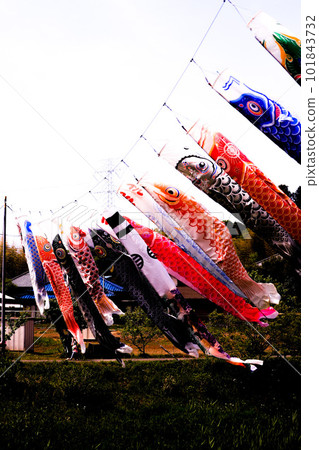Koinobori in Ichihara City 101843732