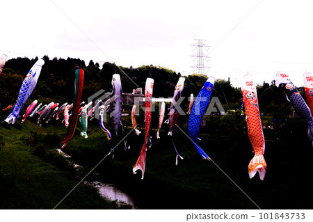 Koinobori in Ichihara City 101843733