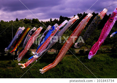 Koinobori in Ichihara City 101843734