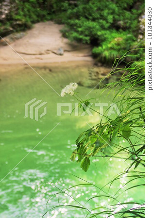 In a clear stream where rock fish swim 101844030