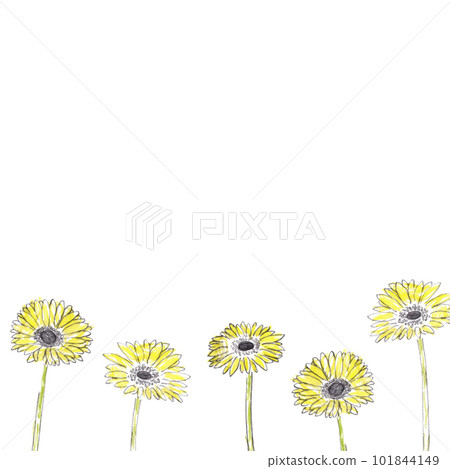 彩色鉛筆插圖。手繪花束矢量圖。非洲菊插圖。 101844149