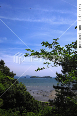 三河大島遠景 三河大島遠景 101844375