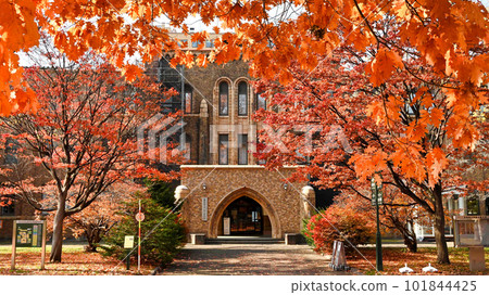 Hokkaido University General Museum (Former Faculty of Science Main Building) 101844425