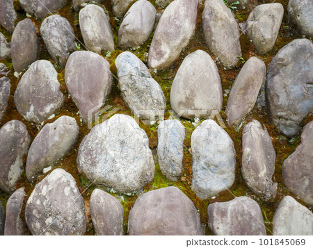 A stone wall with moss 101845069