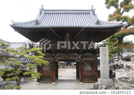 西林寺48號寺院(愛媛縣四國參拜) 西林寺48號寺院(愛媛縣四國參拜) 101845121