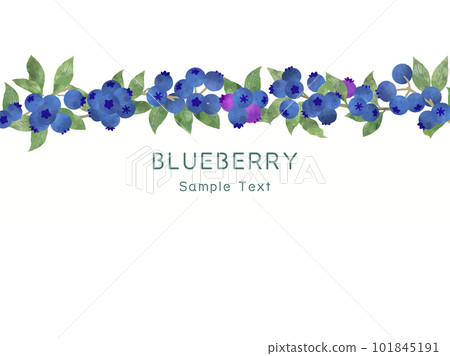 Background illustration of fresh blueberries in watercolor style Background illustration of fresh blueberries in watercolor style 101845191