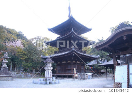 石手寺复田所51號（愛媛縣四國參拜） 101845442