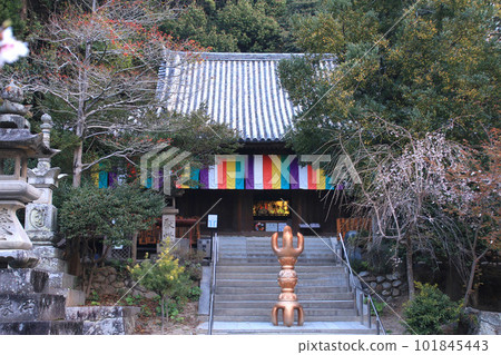 石手寺复田所51號(愛媛縣四國參拜) 石手寺复田所51號(愛媛縣四國參拜) 101845443