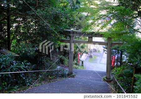 一野鳥居（Ichino Torii），Nyu政府辦公室神社的石階（Jison-in Temple，Kudoyama-cho，Kudoyama-cho，和歌山縣和歌山縣）2 101845582