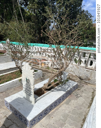 Sidi Abd al-Rahman mausoleum at the Casbah of Algiers. High quality photo 101845927