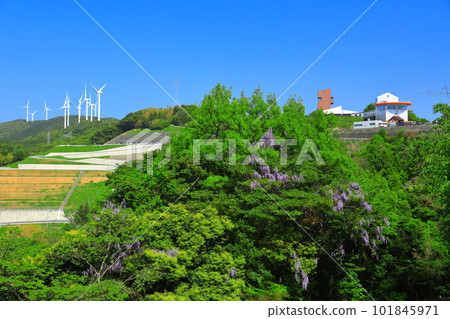 [Ehime Prefecture] Road Station Ikata Kirarakan, Shikoku Electric Power Ikata Visitor's House and Windmill (Sadamisaki Peninsula) 101845971