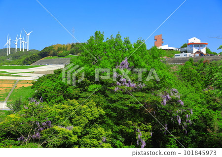 [愛媛縣] Road Station Ikata Kirarakan，四國電力Ikata Visitor's House和風車（Sadamisaki Peninsula） 101845973