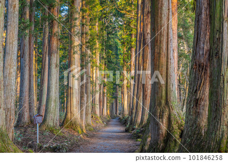 戶隱五社 戶隱五社 101846258