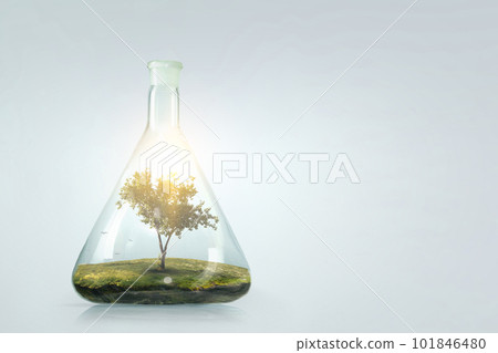 Tree growing inside clear glass bottle Tree growing inside clear glass bottle 101846480