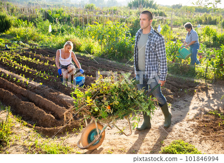 Young man gardener pushing wheelbarrow at garden Young man gardener pushing wheelbarrow at garden 101846994