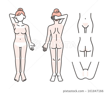 Vector illustration material of explanatory diagram of women's hair loss part parts / VIO / Esthetic Vector illustration material of explanatory diagram of women's hair loss part parts / VIO / Esthetic 101847166