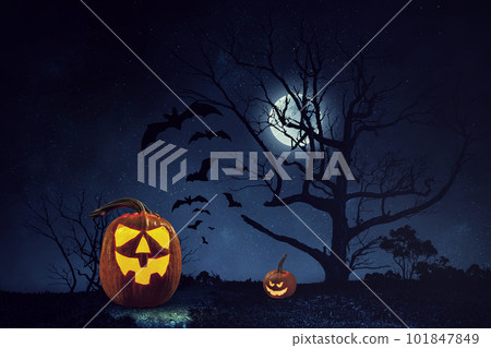 Halloween design with pumpkins . Mixed media 101847849