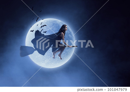 Witch on the broom . Mixed media Witch on the broom . Mixed media 101847979