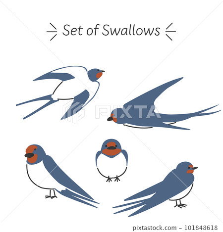 燕插圖集 101848618