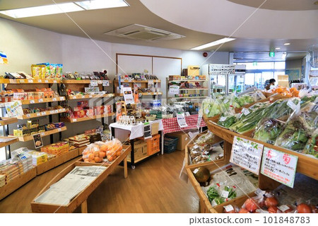 道路之站長島（鹿兒島縣） 101848783