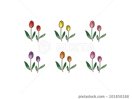 Tulip illustration material 101850188