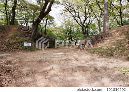 Ruins of the Takeda clan's mansion, north side of the west enclosure Ruins of the Takeda clan's mansion, north side of the west enclosure 101850692