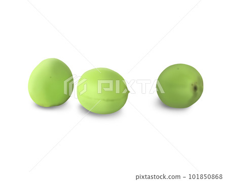 梅果 梅果 101850868