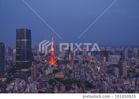 Tokyo Metropolitan Night view 101850928