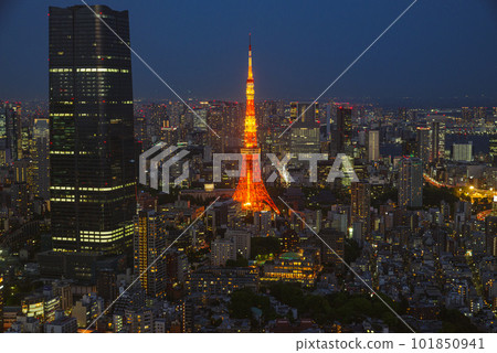 東京都夜景 101850941