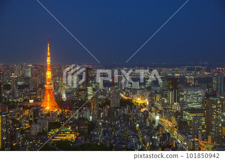 東京都夜景 101850942