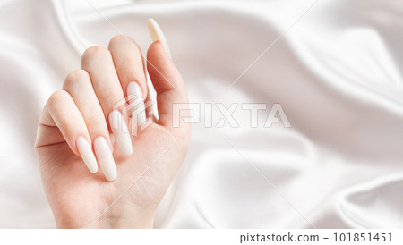 A woman's hands with a manicure on them, the nails are painted in a white color. A woman's hands with a manicure on them, the nails are painted in a white color. 101851451
