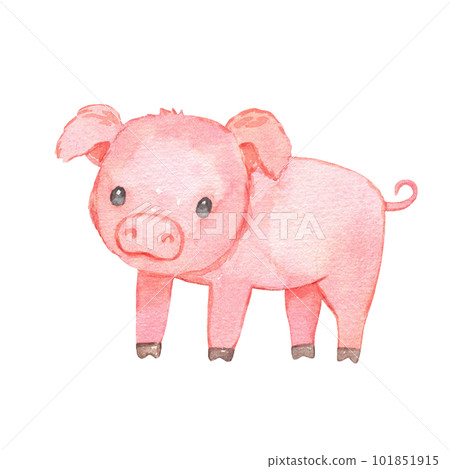 Cute baby piglet isolated on white. Watercolor farm animal. Childish character 101851915