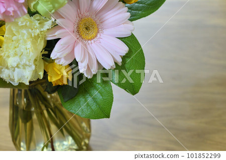 生活與鮮花 生活與鮮花 101852299
