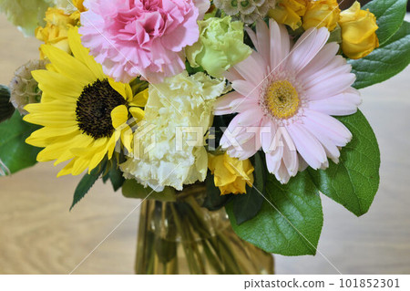 生活與鮮花 生活與鮮花 101852301
