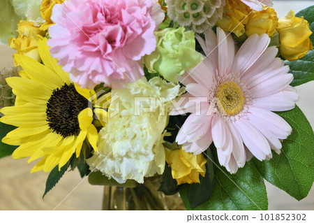 生活與鮮花 101852302